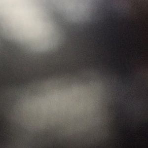 Meet your Posher, Lilian